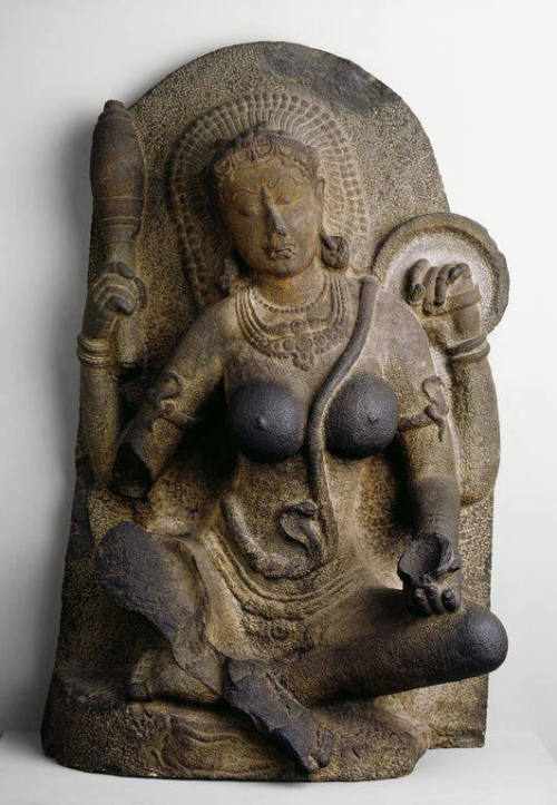 Treasures from the Asian Art Collection