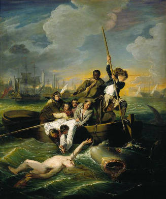Watson and the Shark