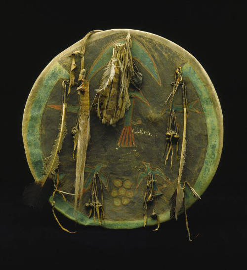Shield