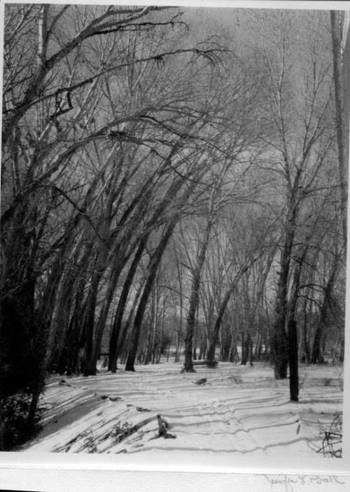 Baca Grande, Colorado. Jennifer L. Ball.