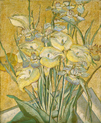 Irises and Calla Lilies