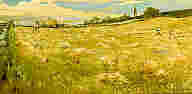 Wheat Fields, Vermont
