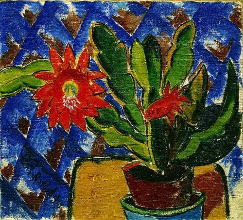 Cactus in Bloom