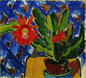 Cactus in Bloom