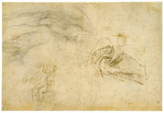 Scheme for the Decoration of the Ceiling of the Sistine Chapel