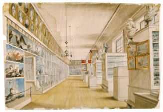The Long Room, Interior of Front Room in Peale's Museum