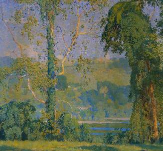 Vineclad Trees