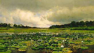 The Lily Pond